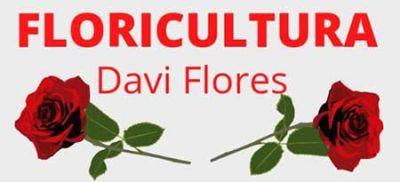 Davi Flores