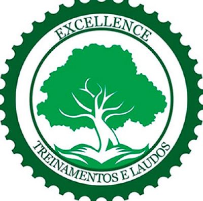 Excellence Consultoria em Segurança do Trabalho